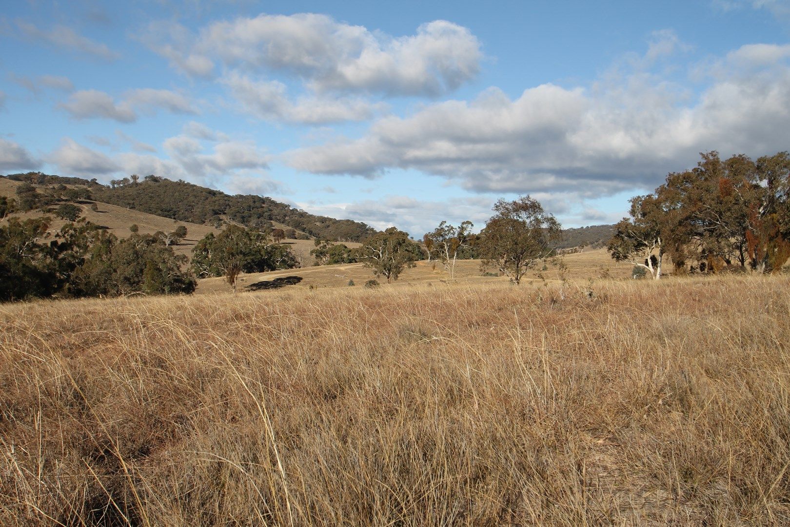 100/1191 Campbells Creek Road, Mudgee NSW 2850, Image 0