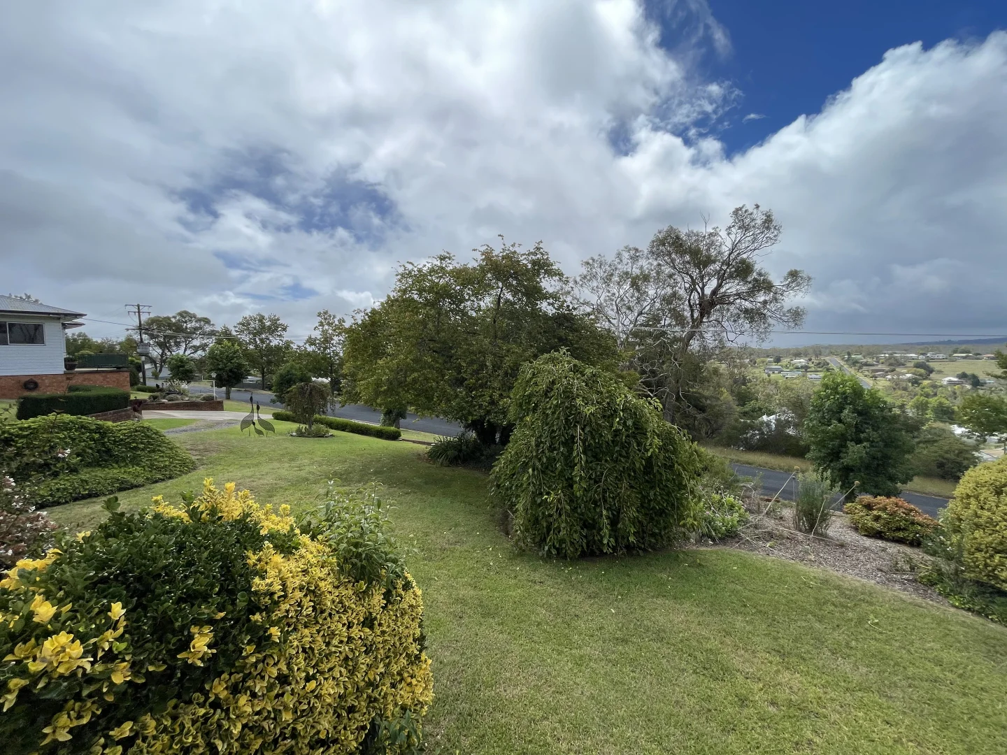 Image 15