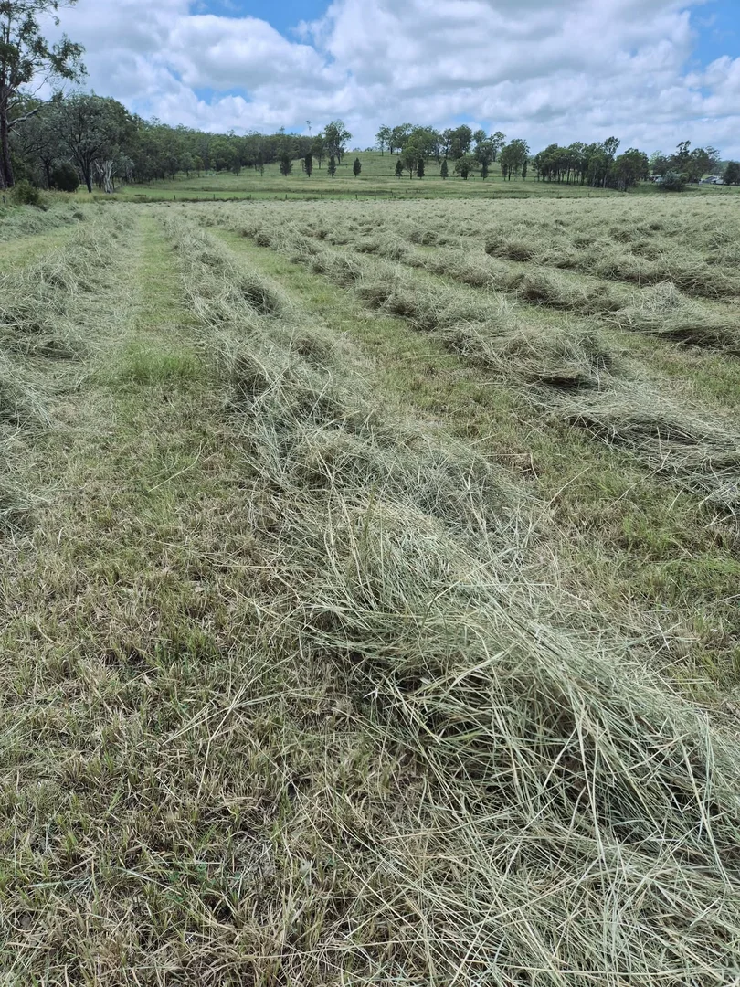 Additional image 29 of 160 Rocky Gully Road, Crows Nest QLD 4355