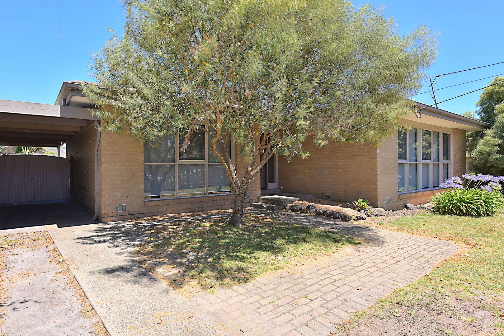 80 Jacks Avenue, Dingley Village VIC 3172 House For Rent 585 Domain