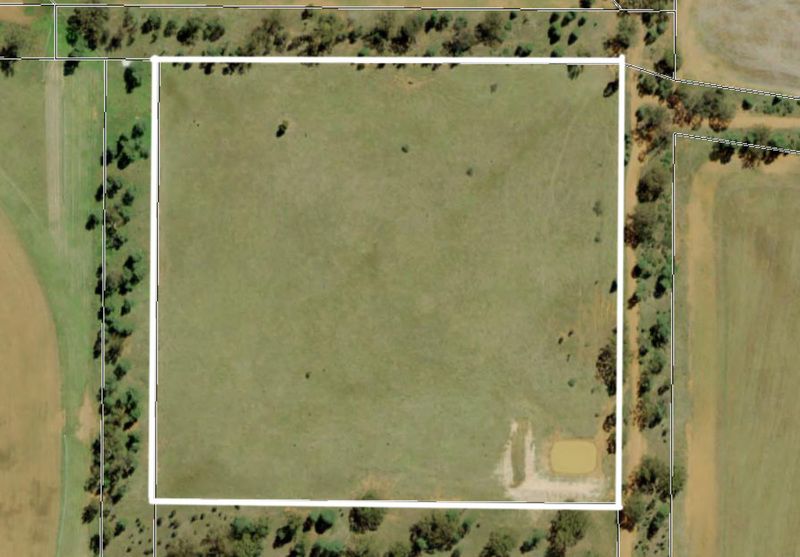 130 Tomingley Cemetery Rd, Tomingley NSW 2869, Image 0