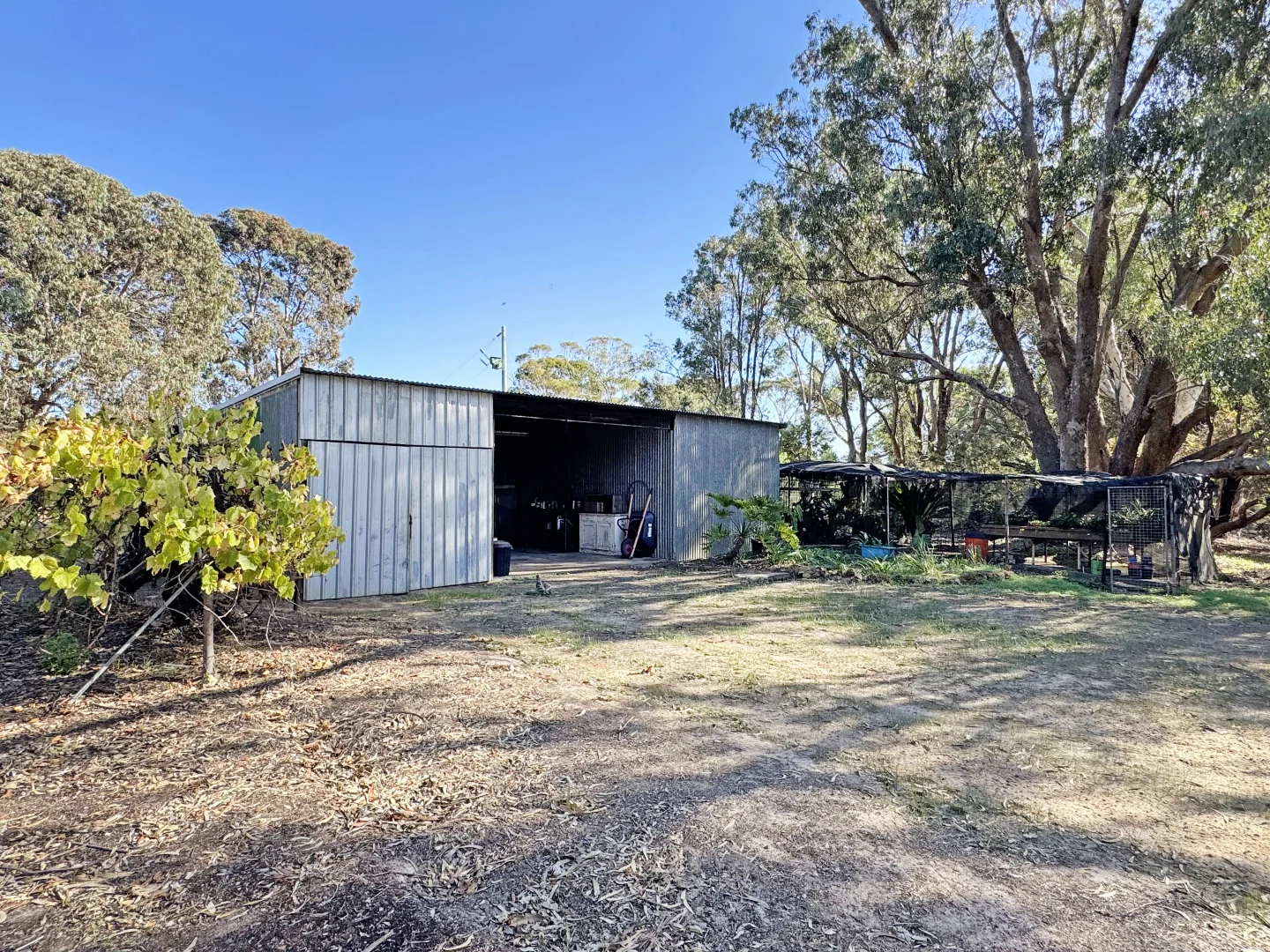 Image 19