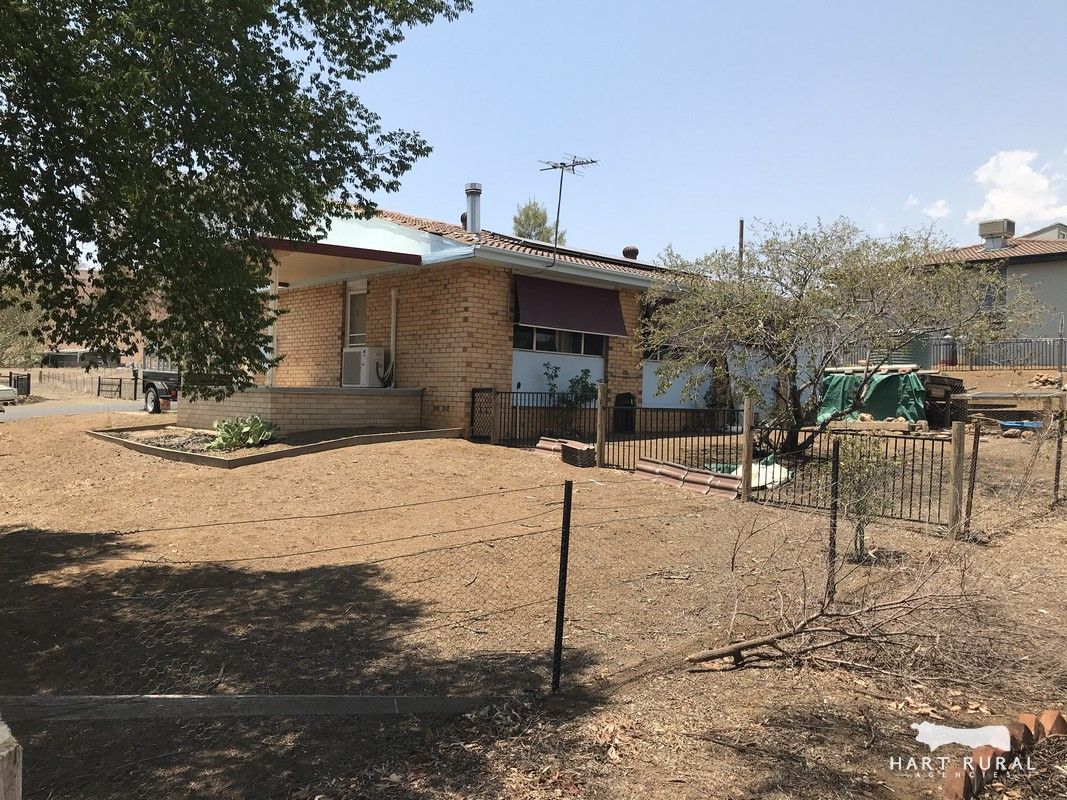 25 Williams Street, Barraba NSW 2347, Image 1