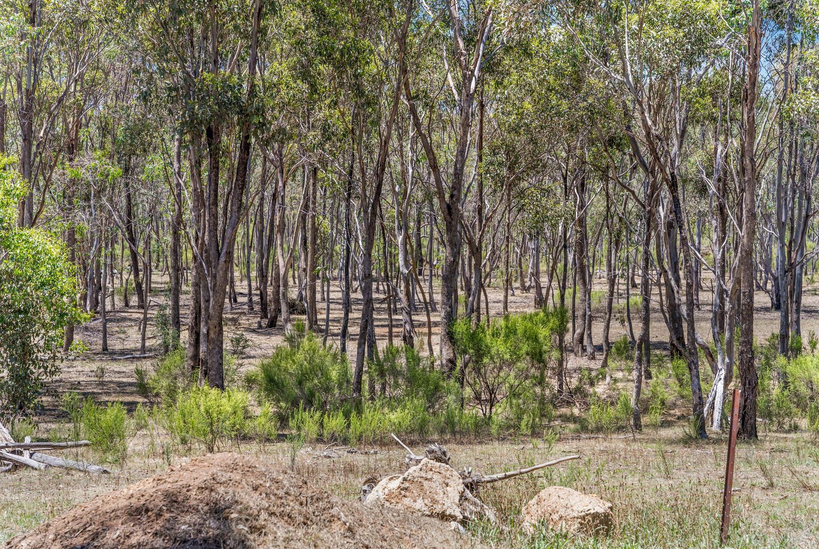 Wilson Road, Heathcote VIC 3523, Image 1