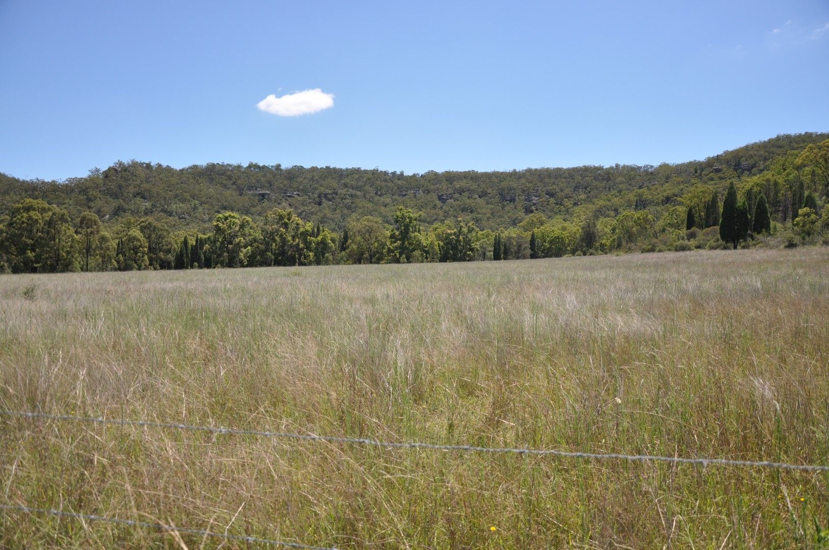 LOT 8 Ferndale Road, Yarrawa NSW 2328, Image 0