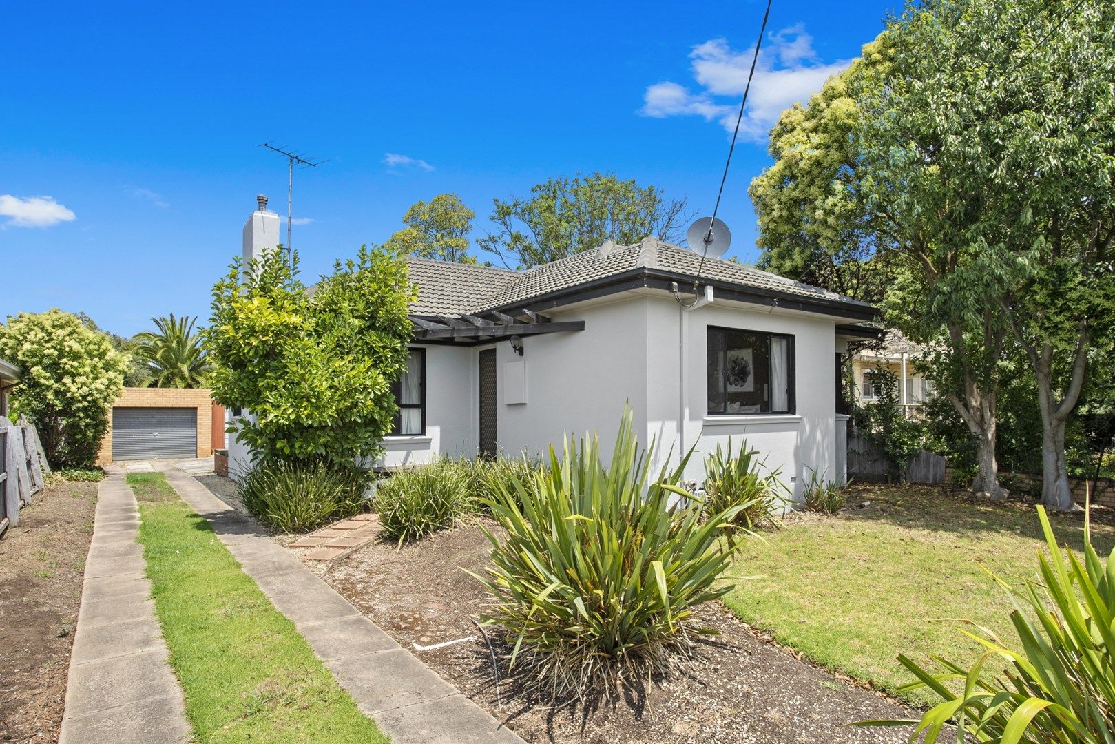 11 View Street, Belmont VIC 3216, Image 0