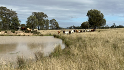 Picture of Lot 1 & 3 Kampfs Road, GOOMBUNGEE QLD 4354