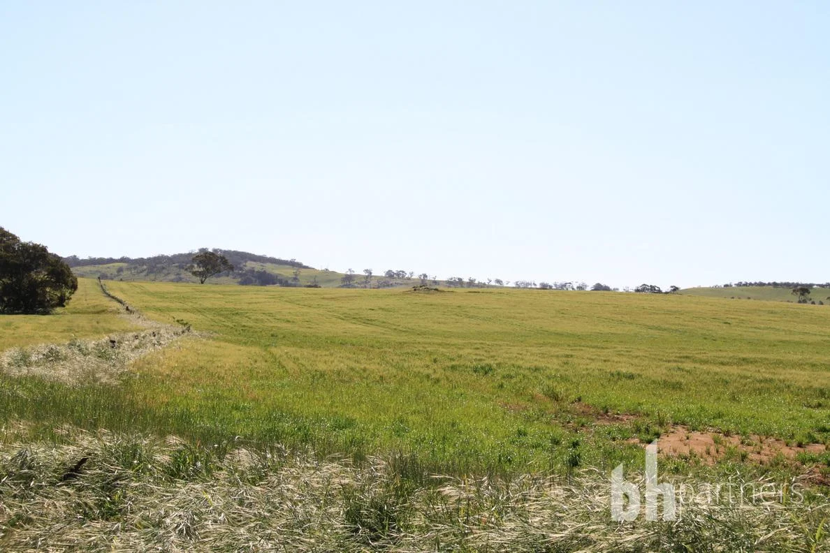 Additional image 28 of Section 332 and Section 330 & 405 Kubenk Road, Rockleigh SA 5254