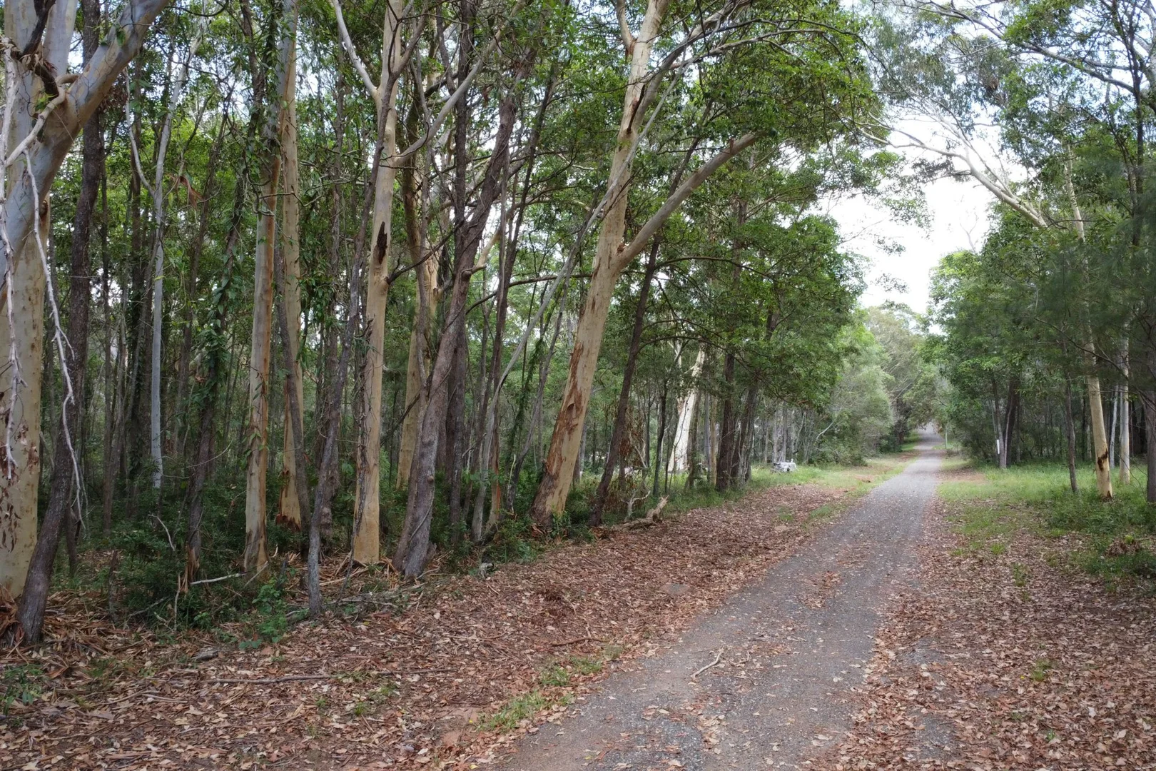 Image 8