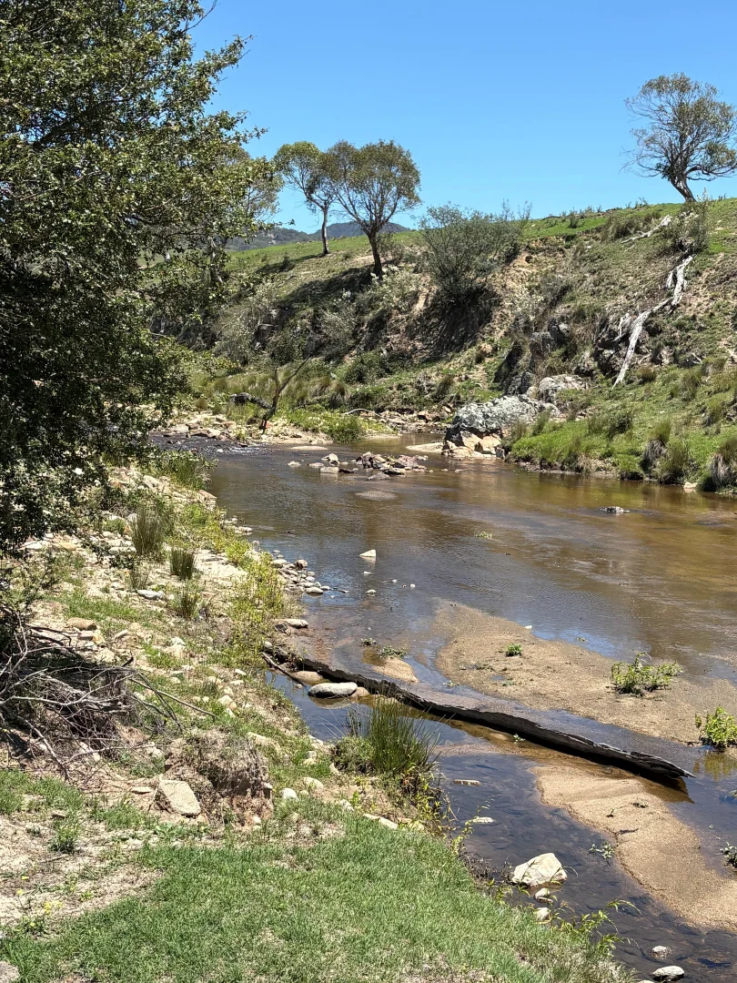 Image 22