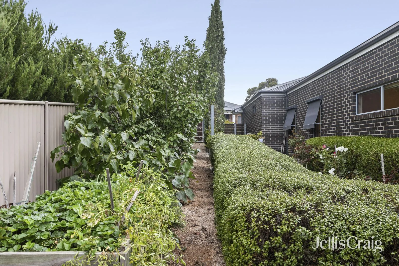 Additional image 15 of 5 Phyllis Crescent, McKenzie Hill VIC 3451