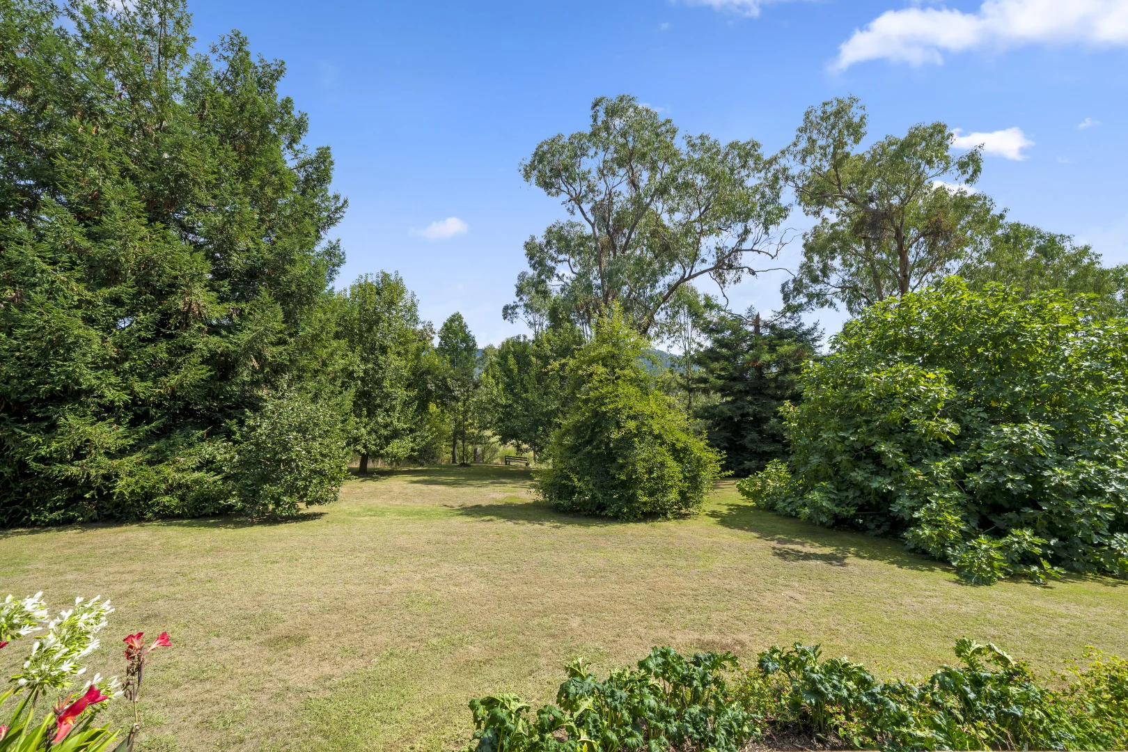 Additional image 14 of 398 Nug Nug Road, Myrtleford VIC 3737