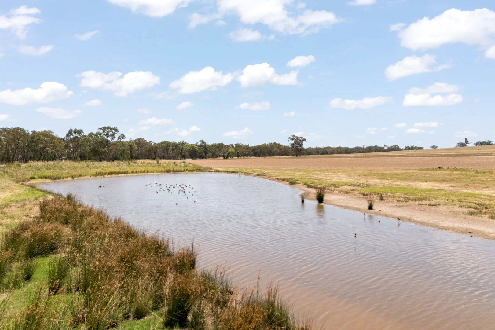 Additional image 10 of 35 Beryl Road, Gulgong NSW 2852