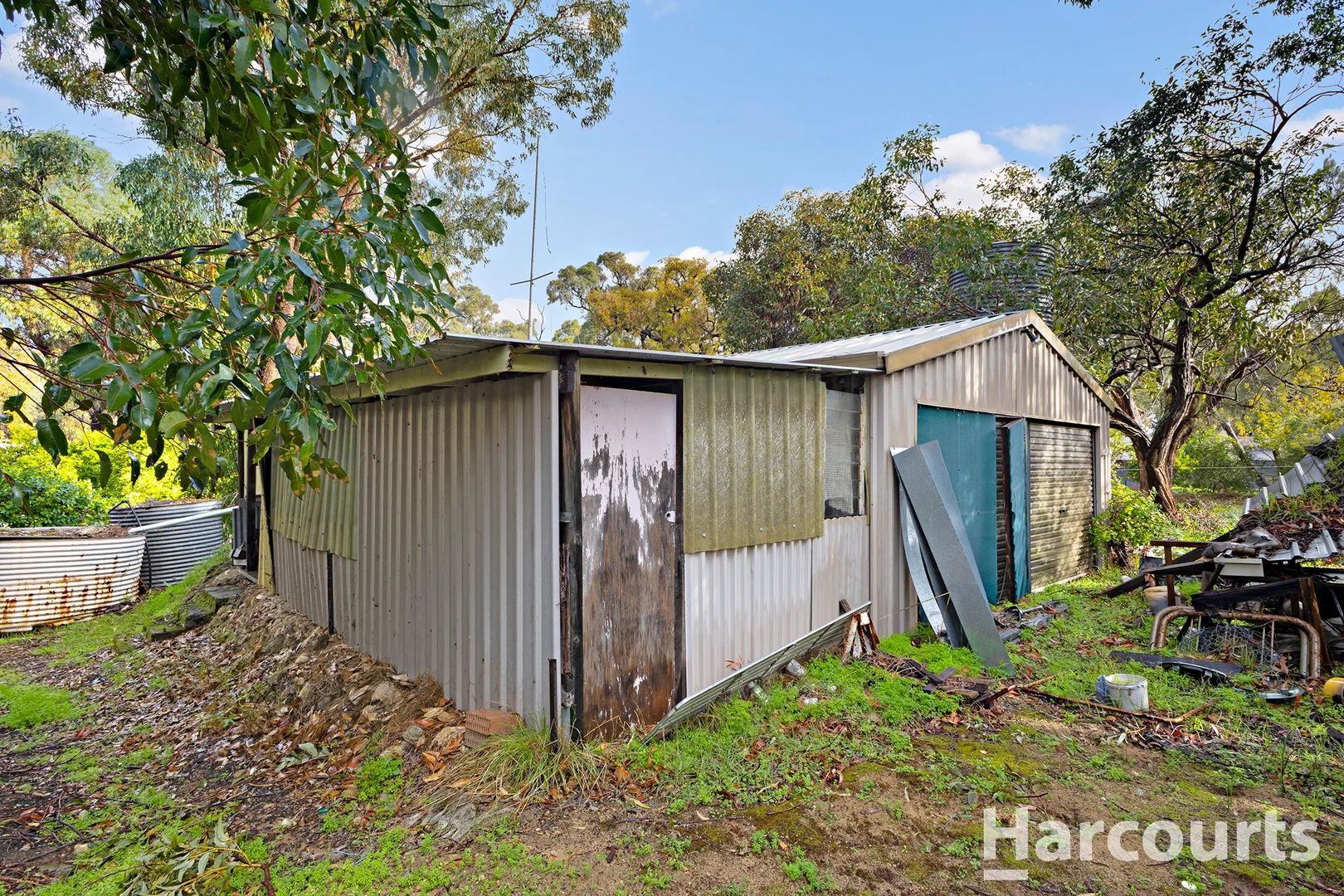 Image 12