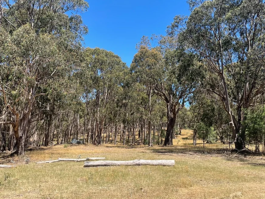 Image 14