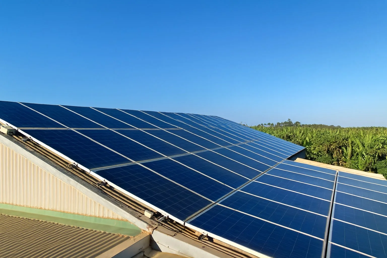 Image 35