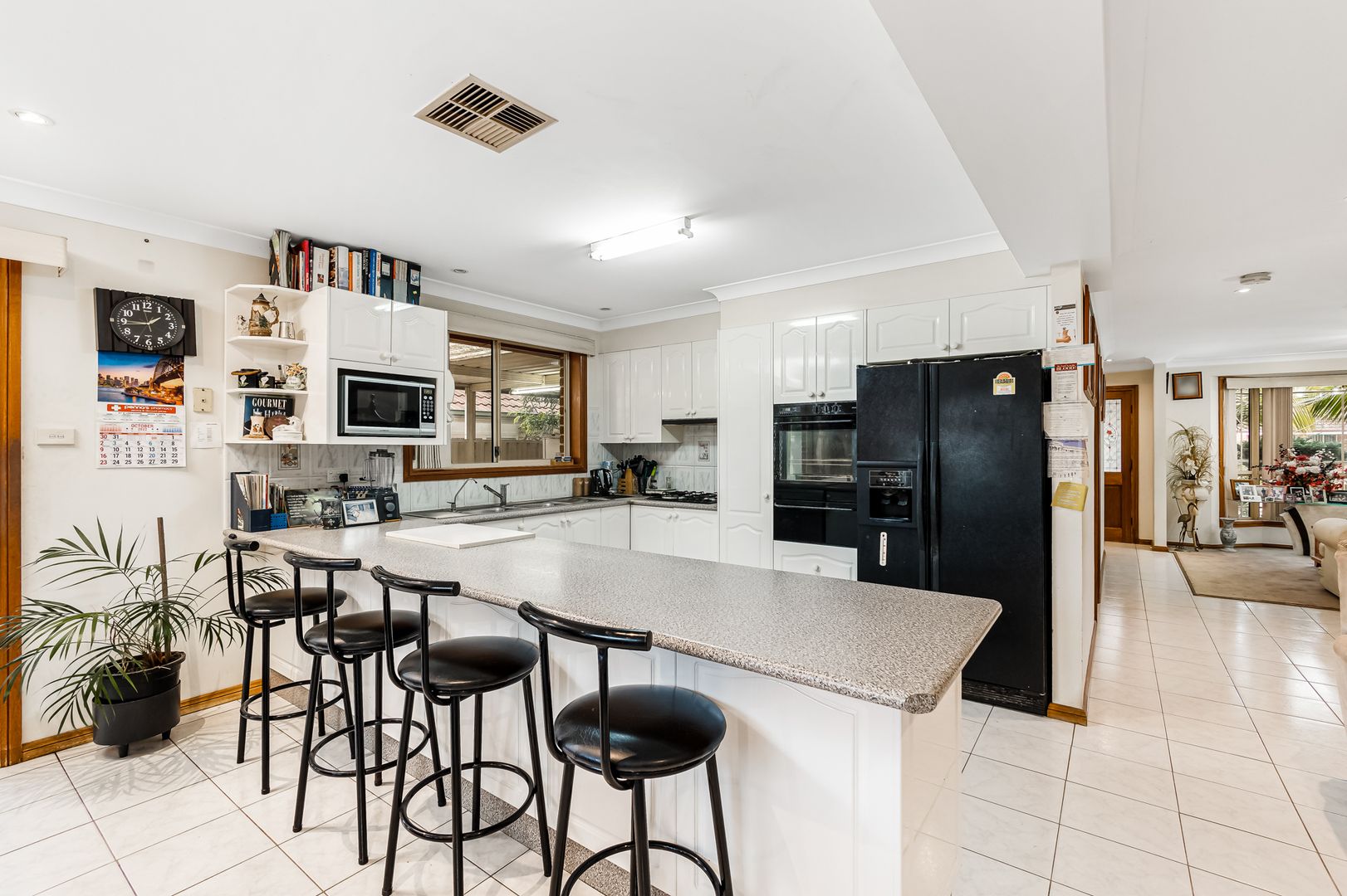 9 Jeremy Way, Cecil Hills NSW 2171, Image 1