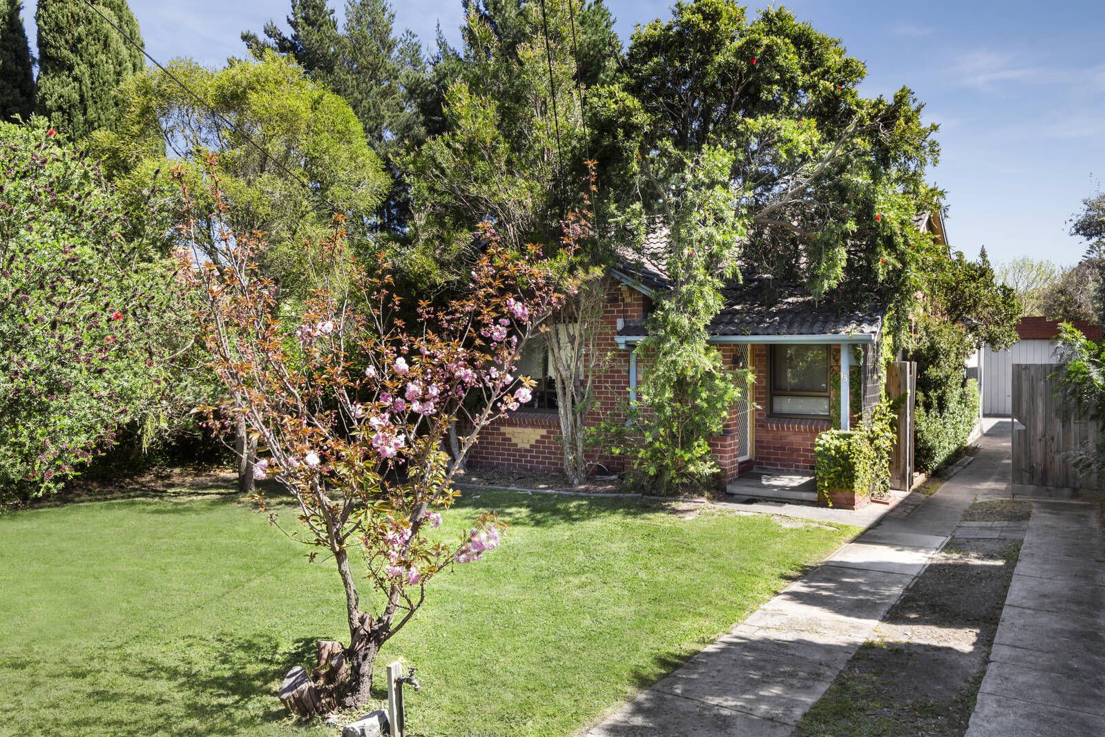 13 Valerian Street, Hampton VIC 3188, Image 1