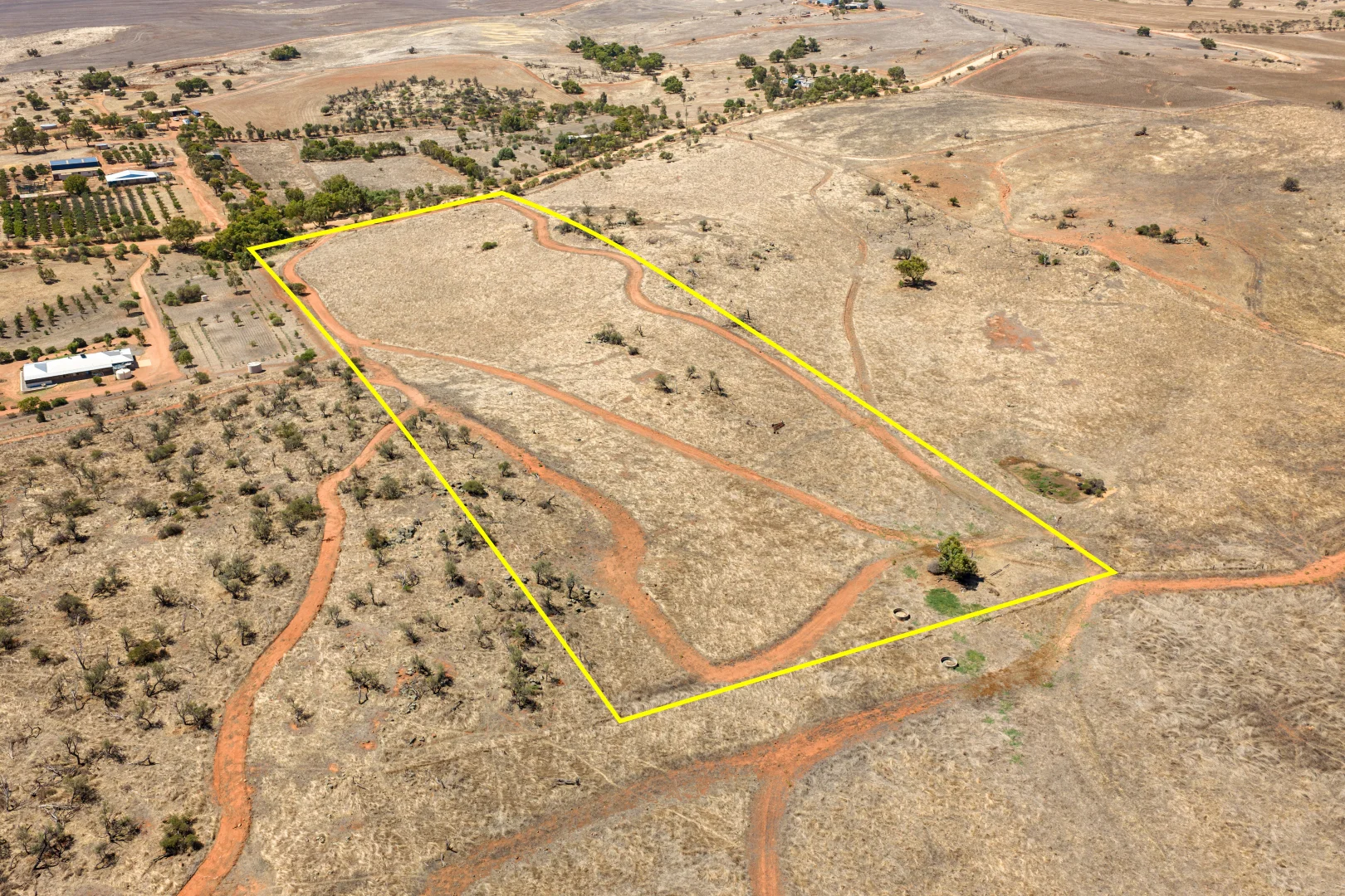 Image 3