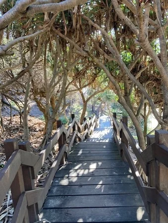 Additional image 33 of 56 Oomoo Street, Buddina QLD 4575