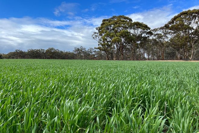 Picture of . 'Wells" Dangin North Road, QUAIRADING WA 6383