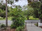 Image 15