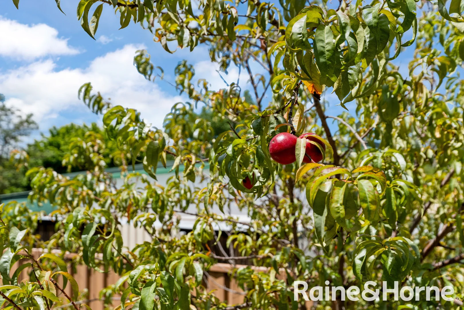 Additional image 12 of 39 Fleming Street, Kandos NSW 2848