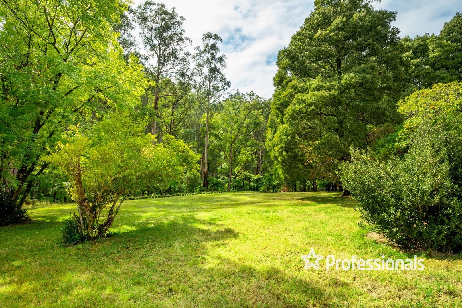 15 Lloyds Road, Powelltown VIC 3797, Image 2