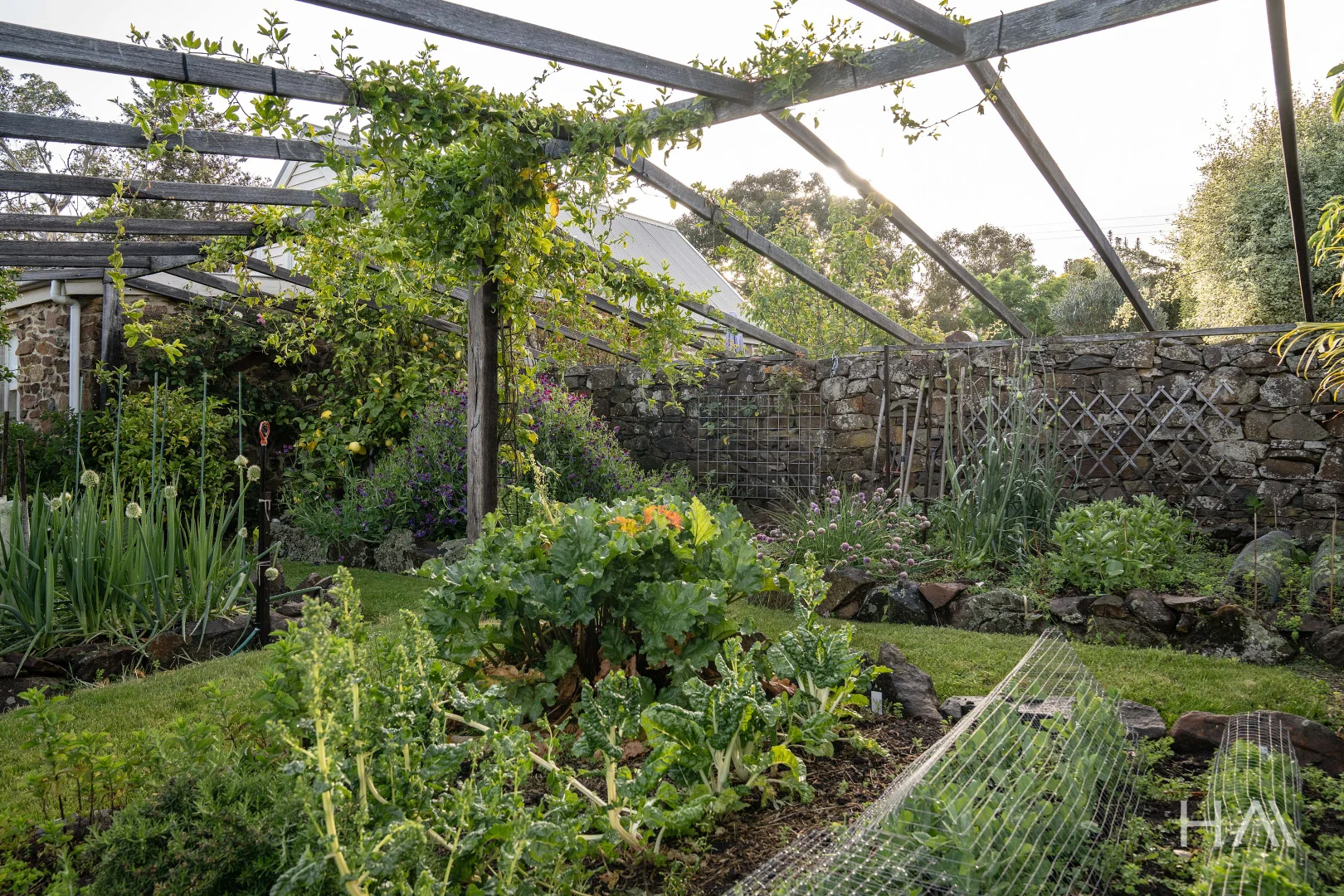 Additional image 39 of 13182 Tasman Highway, Swansea TAS 7190