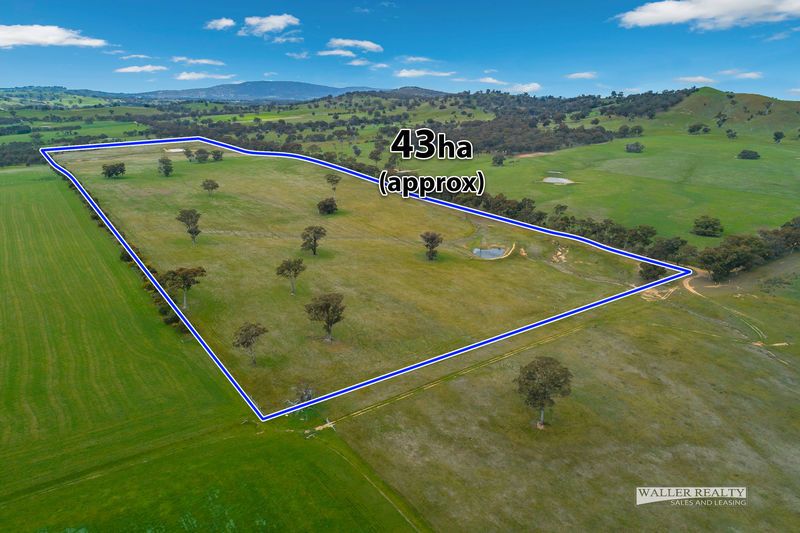 Cnr Mt Gaspard & Reids Road, Ravenswood VIC 3453, Image 2