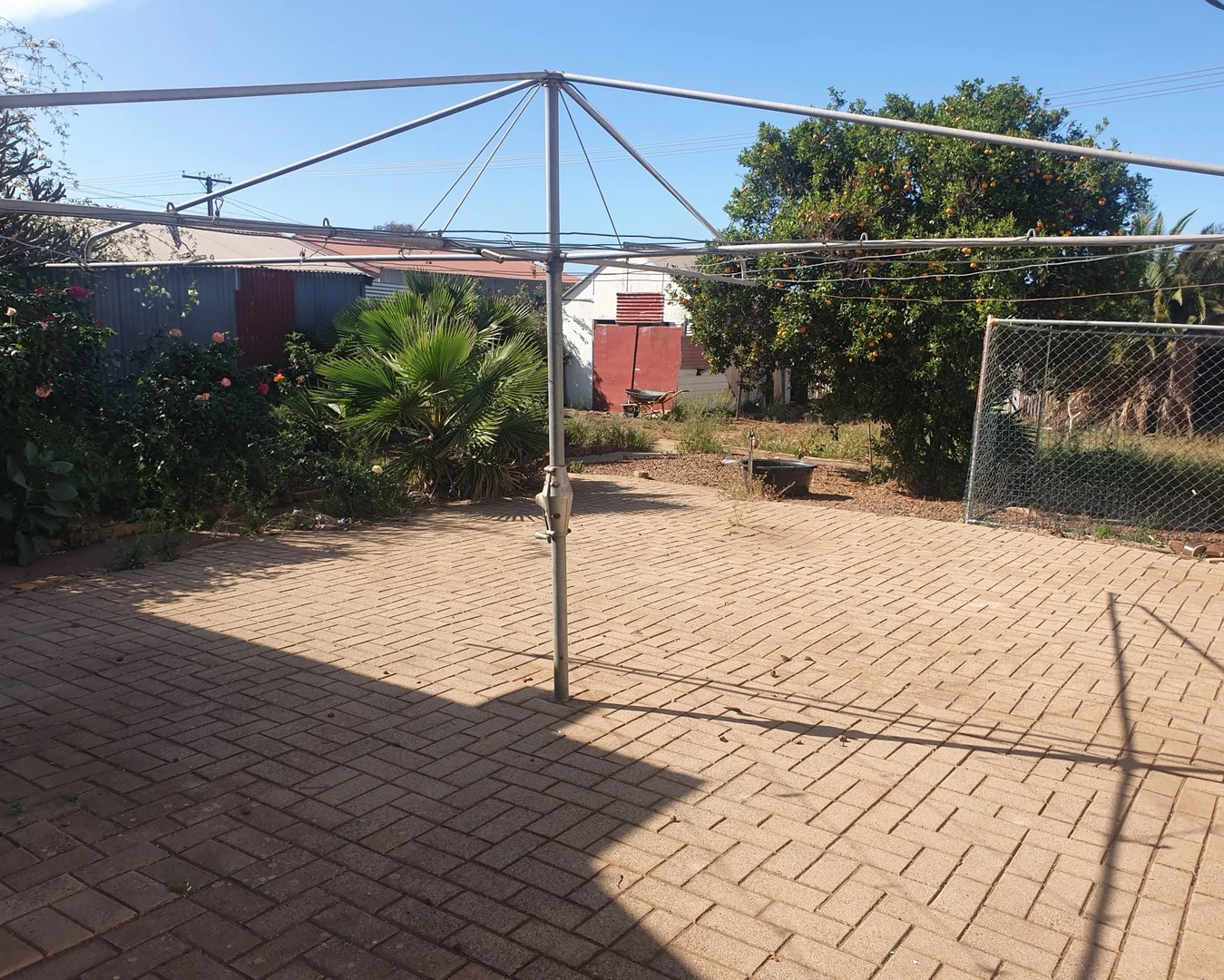 Image 12