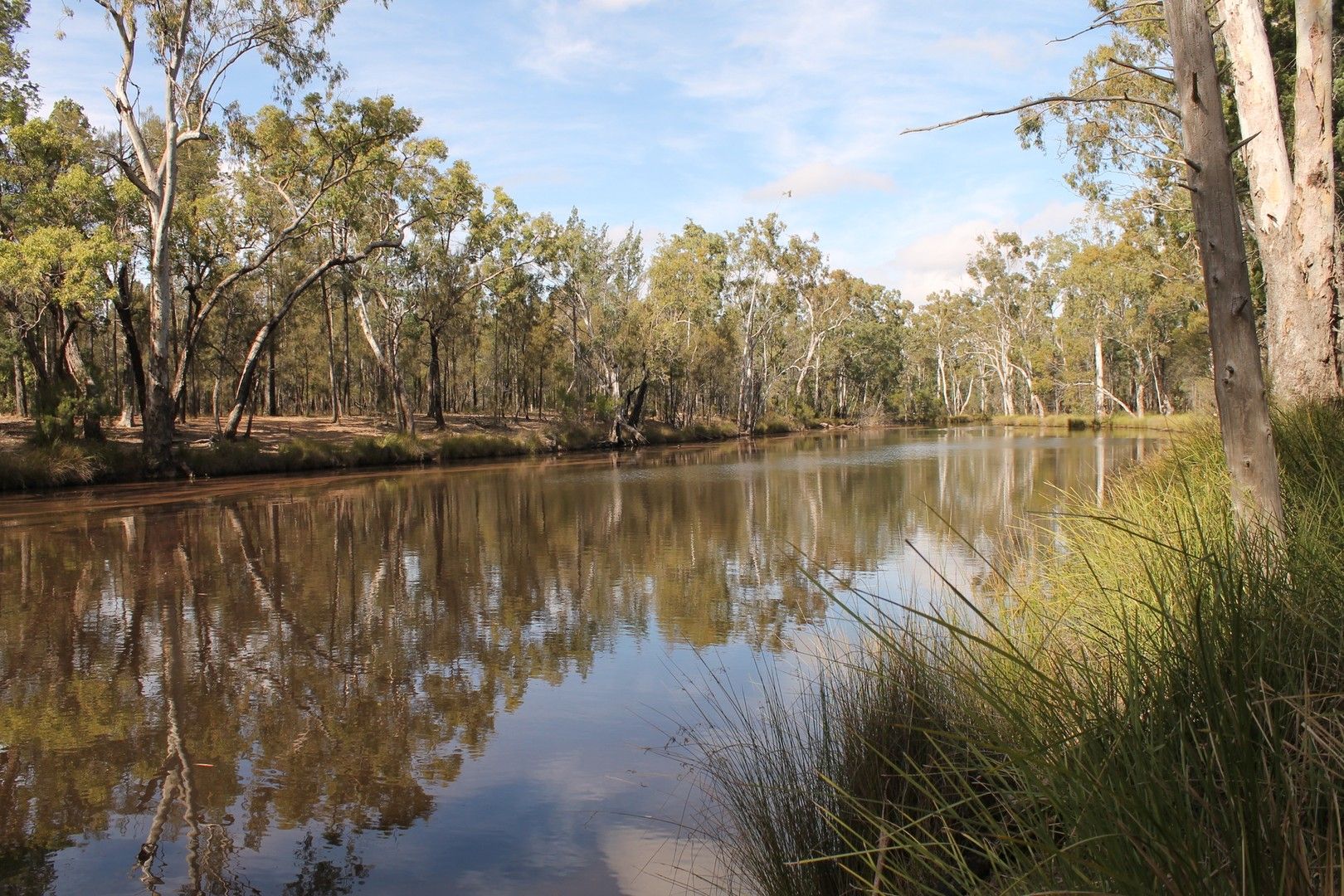 Halliford Road, Ducklo QLD 4405, Image 0