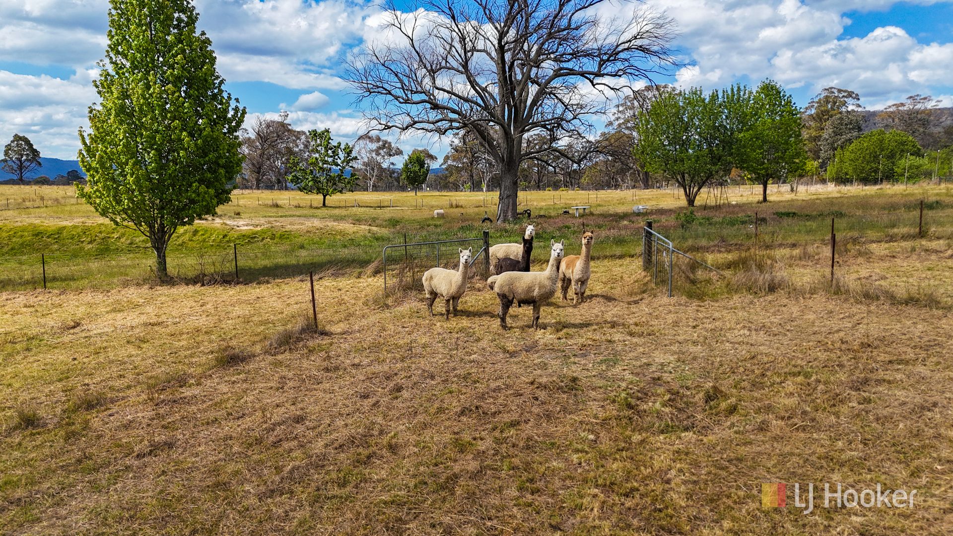 60 Bonny Hills Drive, Little Hartley NSW 2790, Image 2