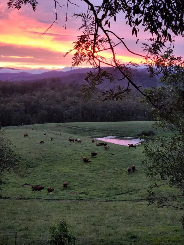 Additional image 24 of 474 Whelan Road, Bollier QLD 4570