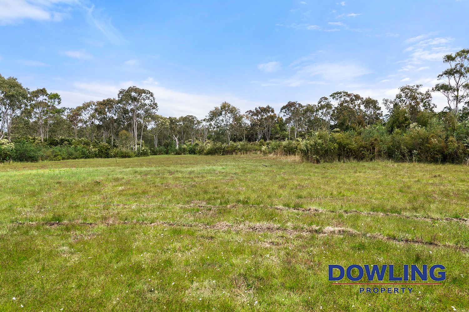 318 Moffats Road, Swan Bay NSW 2324, Image 2