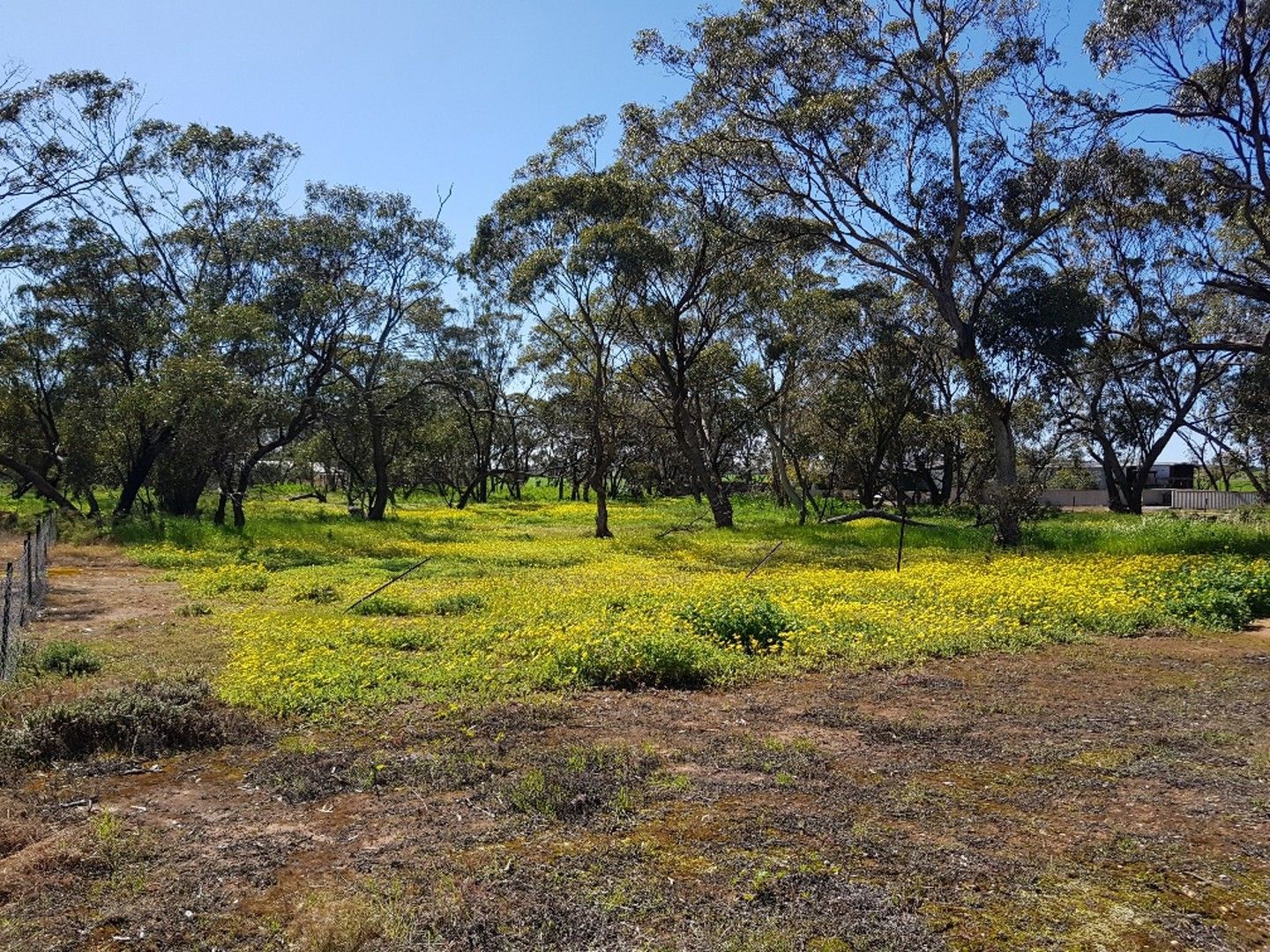 9 Coomberdale East Road, Coomberdale WA 6512, Image 0