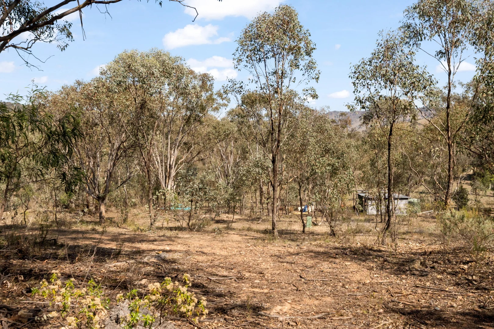 Additional image 8 of 74 Honners Road, Mudgee NSW 2850