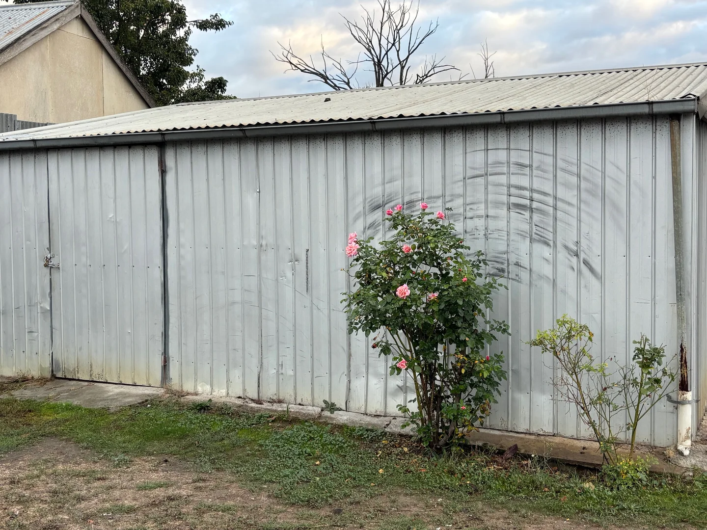 Additional image 18 of 1 Patterson Street, Bordertown SA 5268