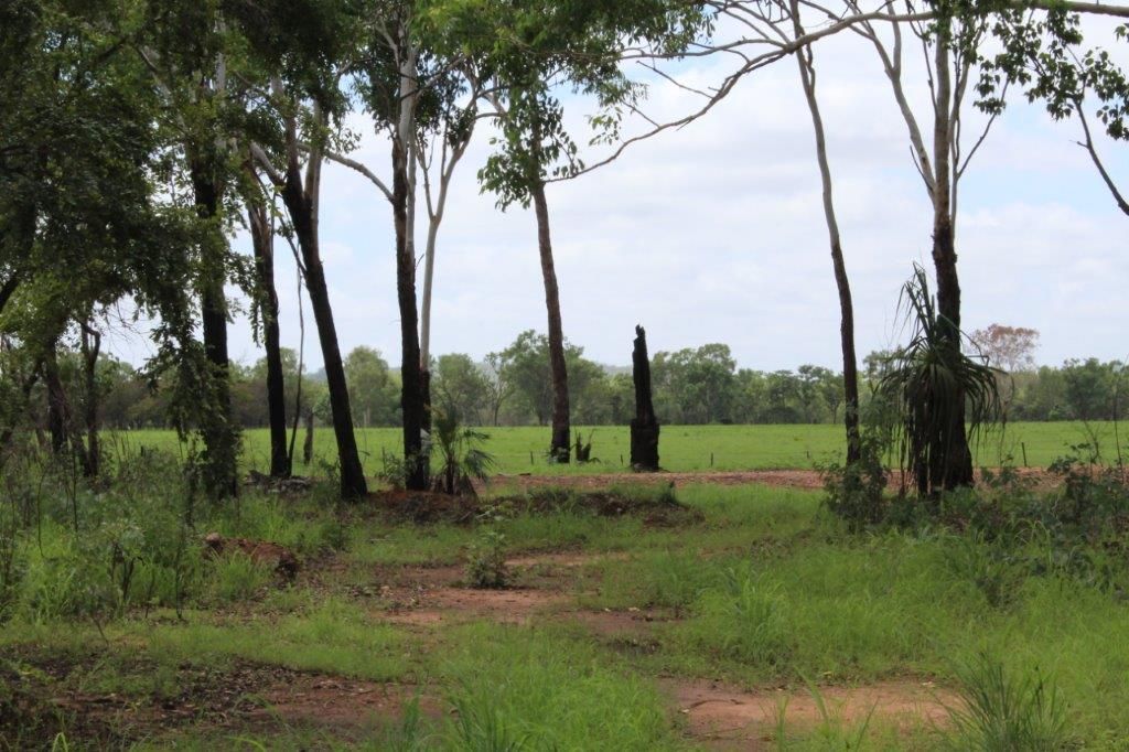 Sold in Adelaide River NT 0846 on 25 Aug 2022 2012256849 Domain