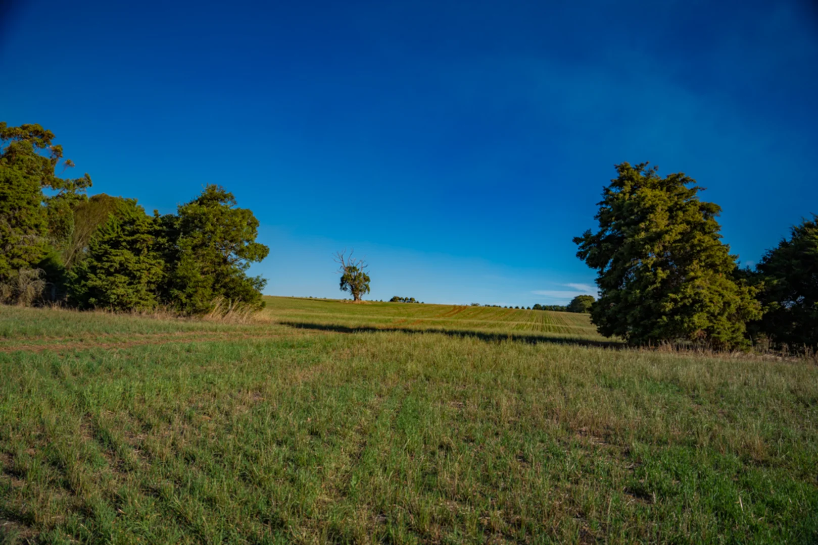 Additional image 9 of 180 Sharpes Road, Miners Rest VIC 3352