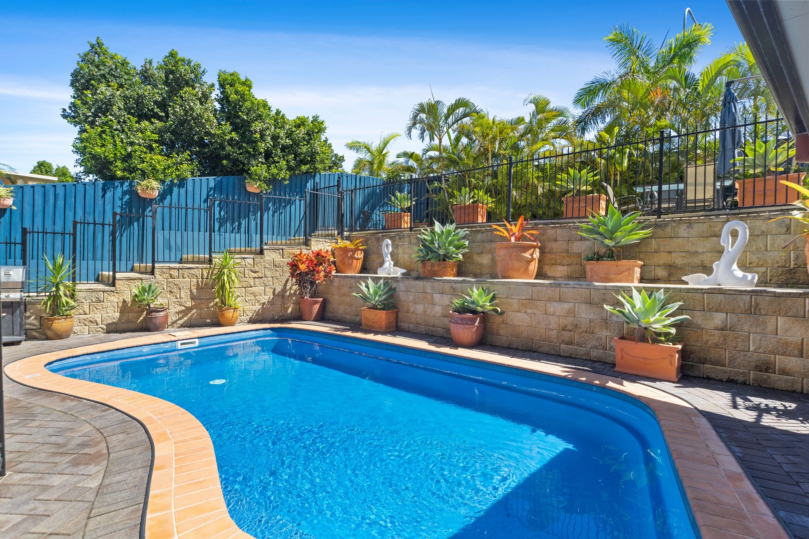 37 Aurora Place, Newport QLD 4020, Image 1