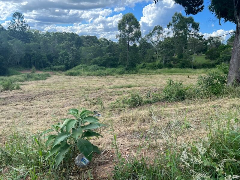 Lot 7 Elwyn Drive, Cedar Vale QLD 4285, Image 1