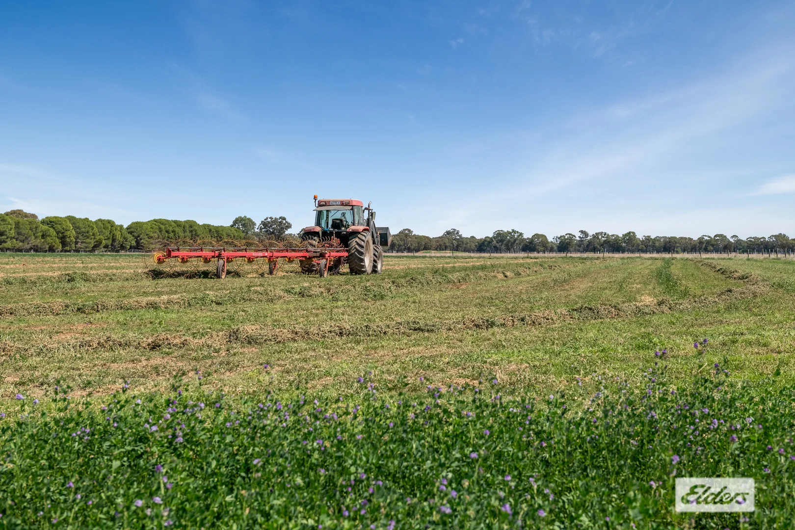 Additional image 20 of 255 Rothackers Road, Serpentine VIC 3517