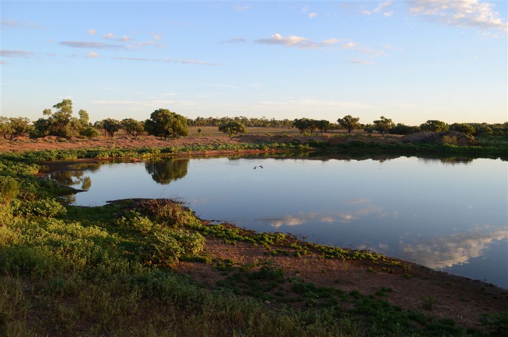 . "Tilbooroo", Cunnamulla QLD 4490 Farm for Sale Domain