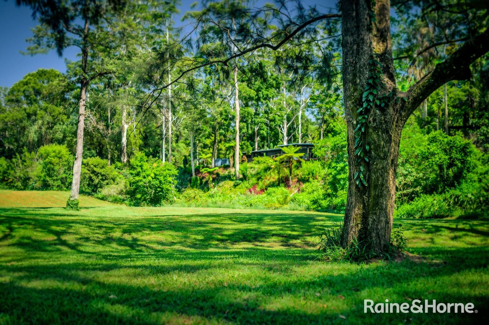 469 Kalang Road, Kalang NSW 2454, Image 1