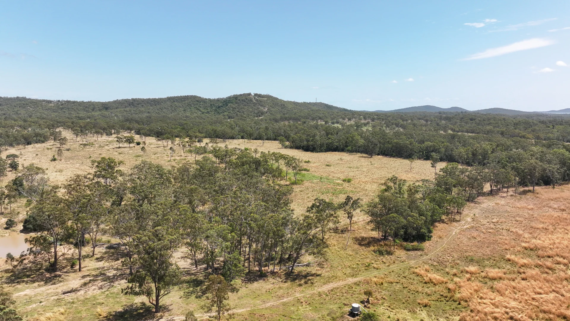 Image 13
