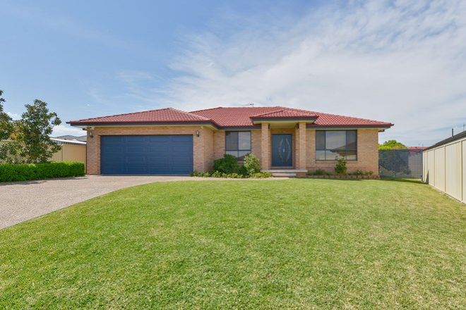 Picture of 14 Merrinee Place, HILLVUE NSW 2340