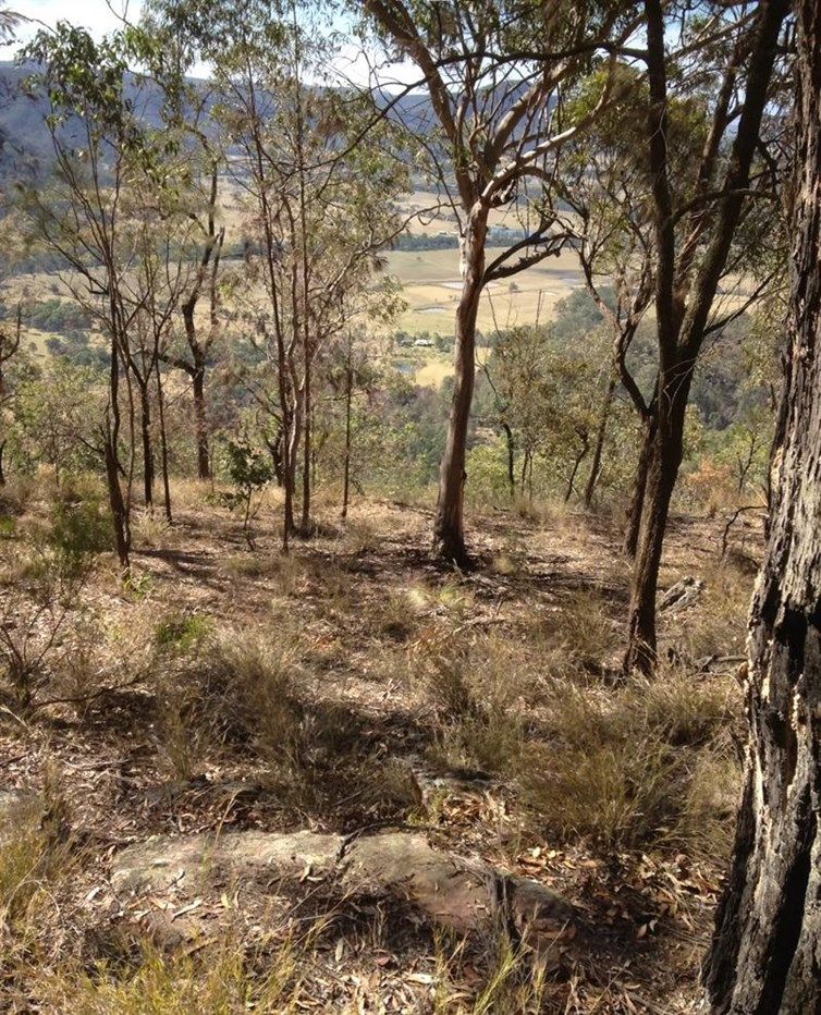 Lot 118 Wollombi Road, Broke NSW 2330, Image 1