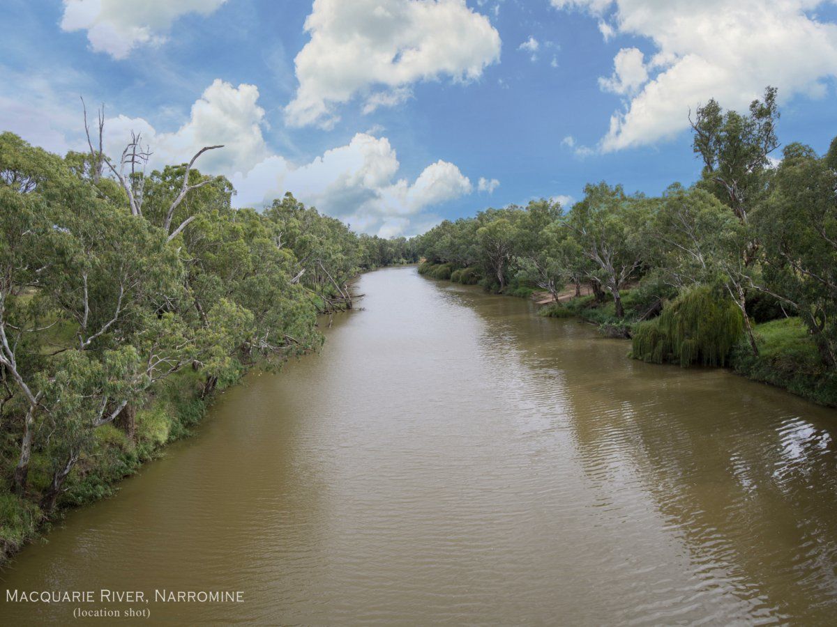 Lot 201/110 Dappo Road, Narromine NSW 2821, Image 1