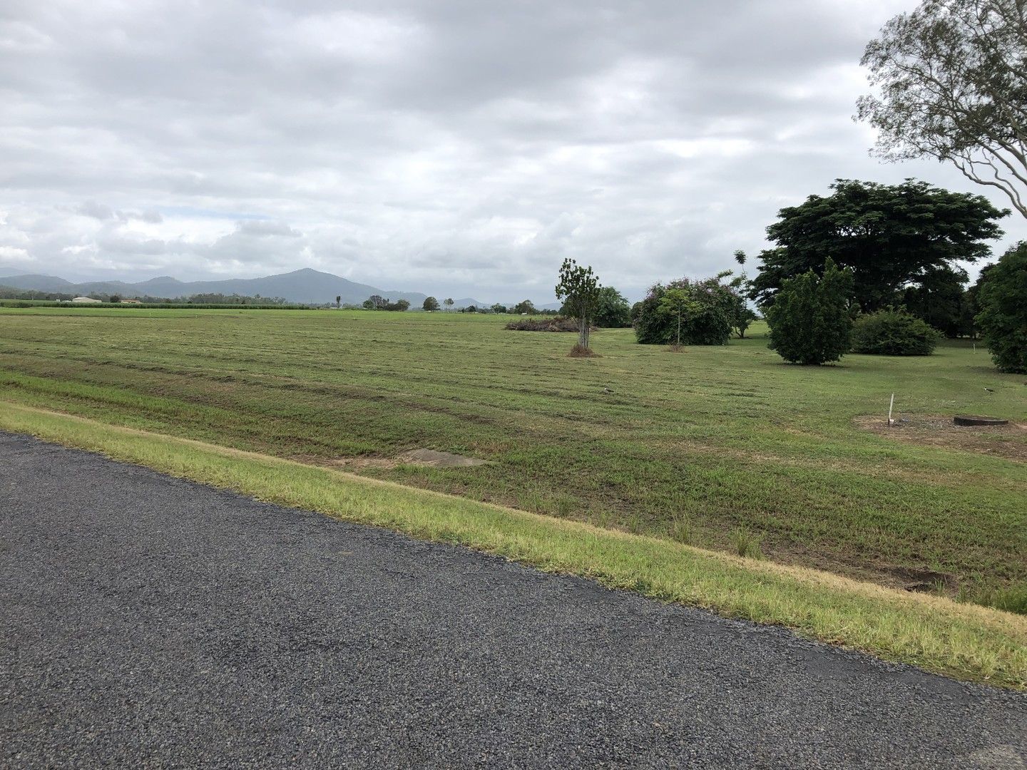 Lot 31 Walz Lane, Mirani QLD 4754, Image 0